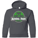Sweatshirts Charcoal / YS Mining Park Youth Hoodie