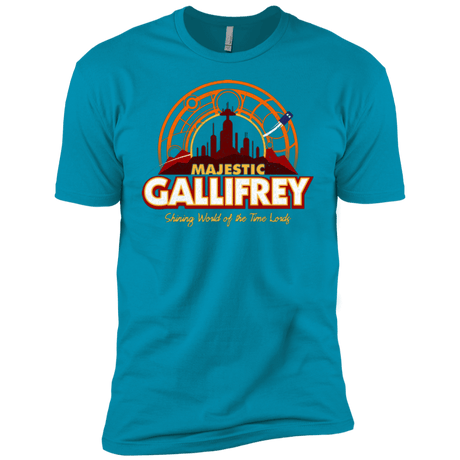T-Shirts Turquoise / YXS Majestic Gallifrey Boys Premium T-Shirt