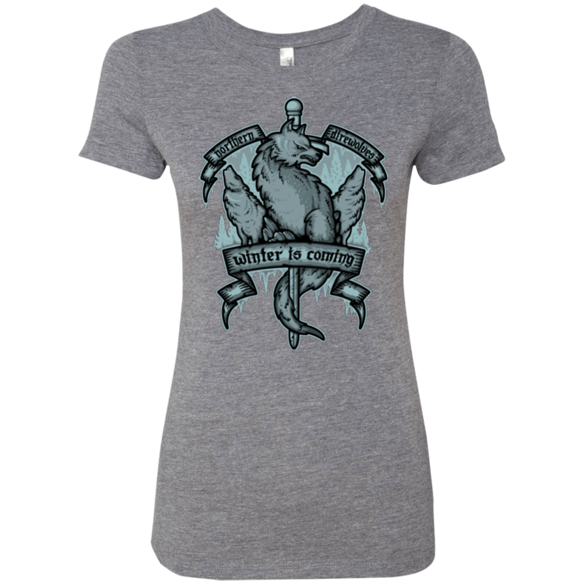 T-Shirts Premium Heather / Small Northern Direwolves Women's Triblend T-Shirt