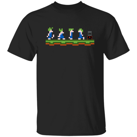 T-Shirts Black / S Pass Denied T-Shirt
