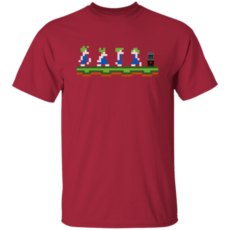 T-Shirts Cardinal / S Pass Denied T-Shirt