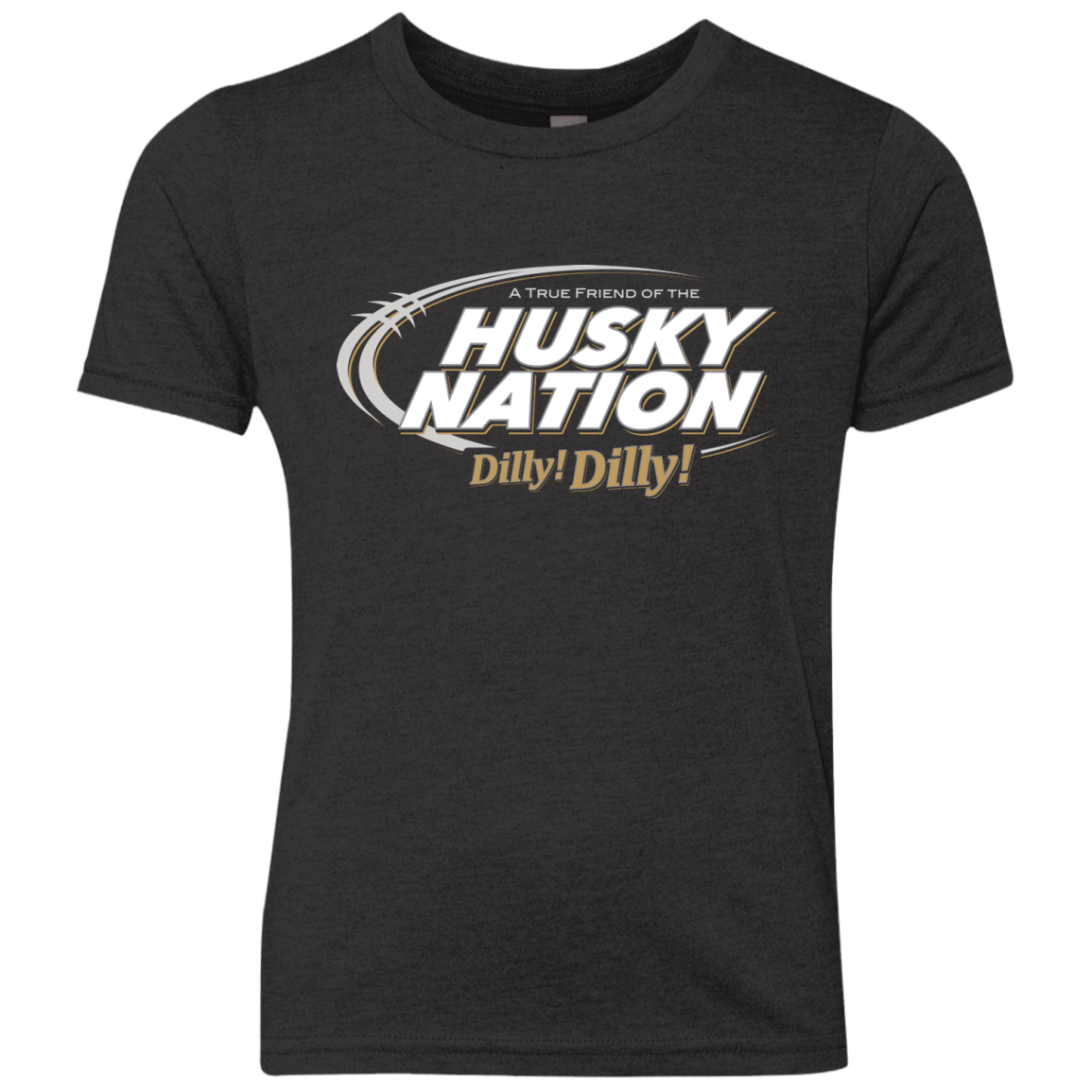 T-Shirts Vintage Black / YXS Washington Dilly Dilly Youth Triblend T-Shirt