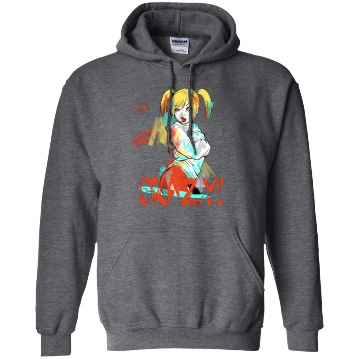 I'm not crazy! Pullover Hoodie