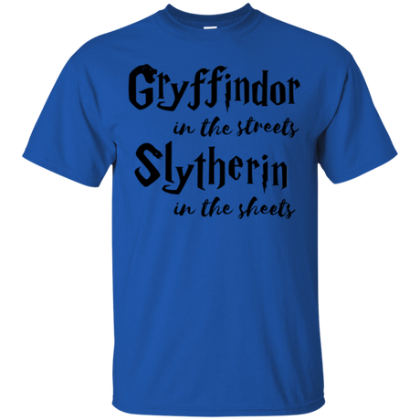 Gryffindor Streets T-Shirt