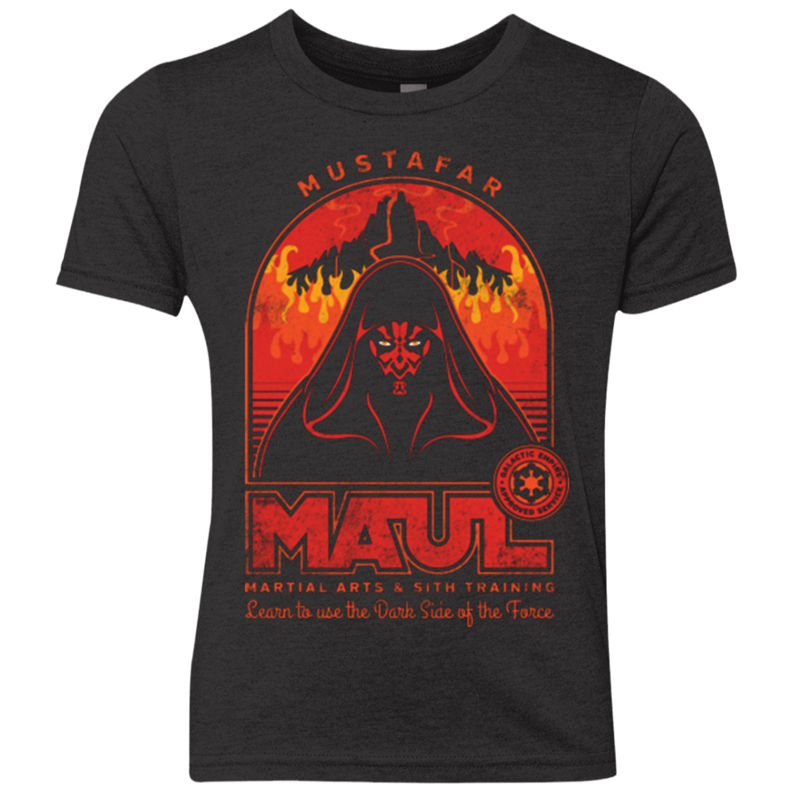 Maul Martial Arts Youth Triblend T-Shirt