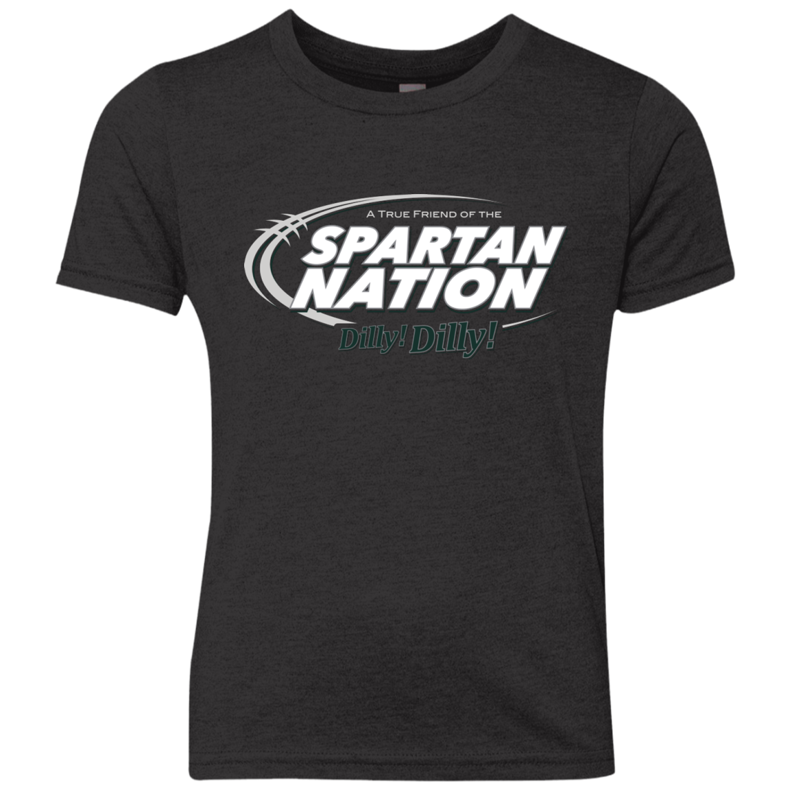 Michigan State Dilly Dilly Youth Triblend T-Shirt