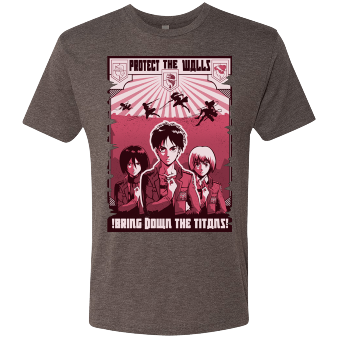 Protect the Walls Men's Triblend T-Shirt