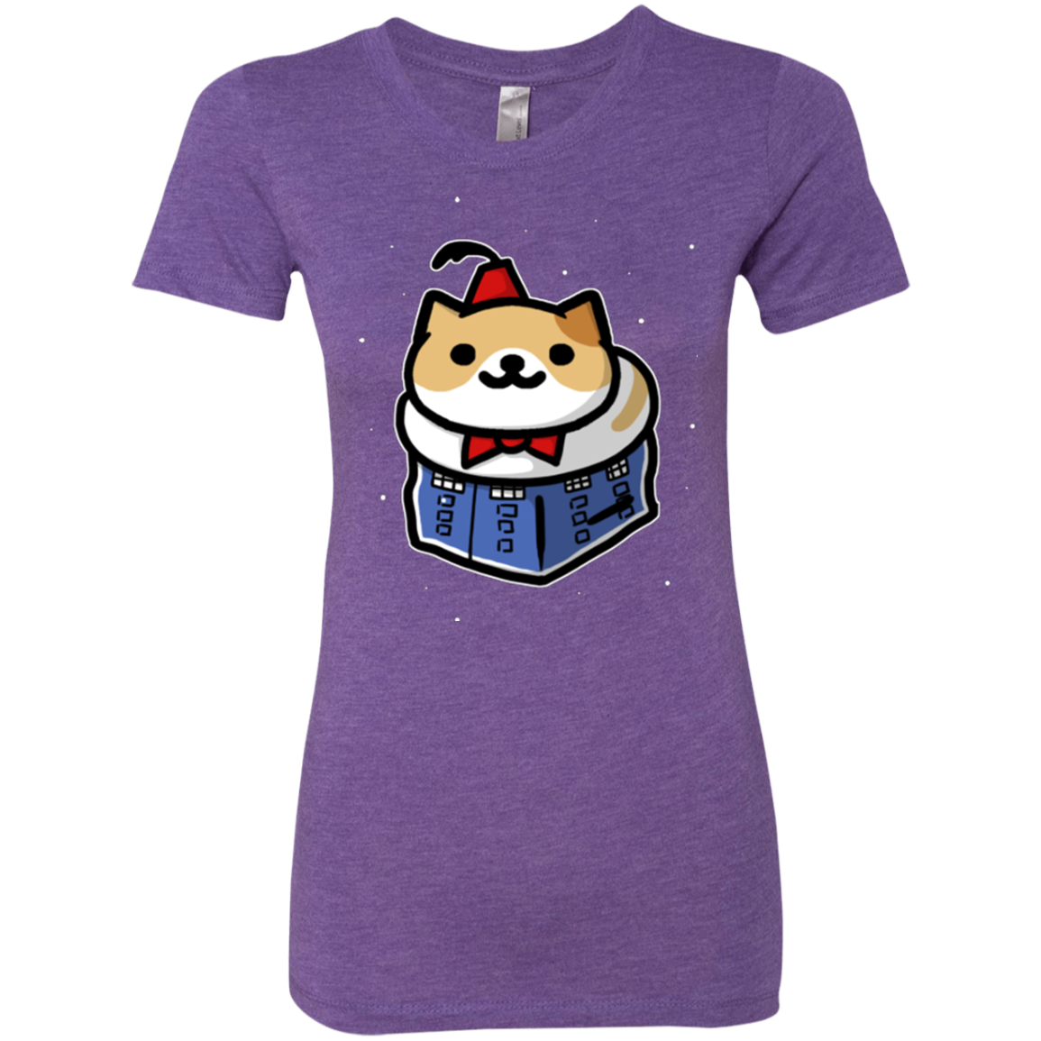 Bigger On The Inside Women's Triblend T-Shirt