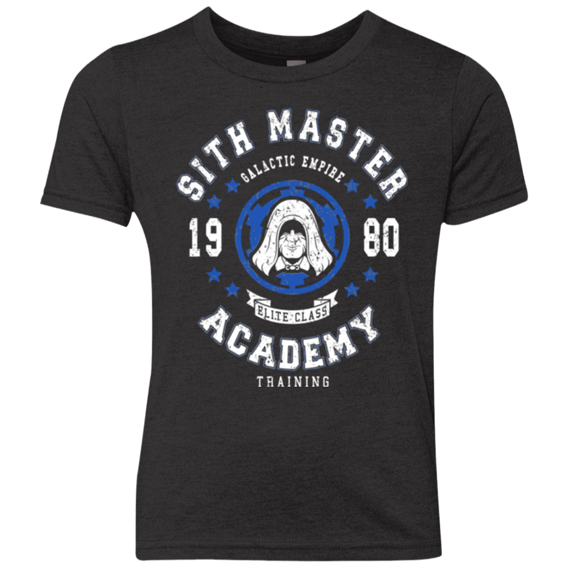 Sith Master Academy 80 Youth Triblend T-Shirt