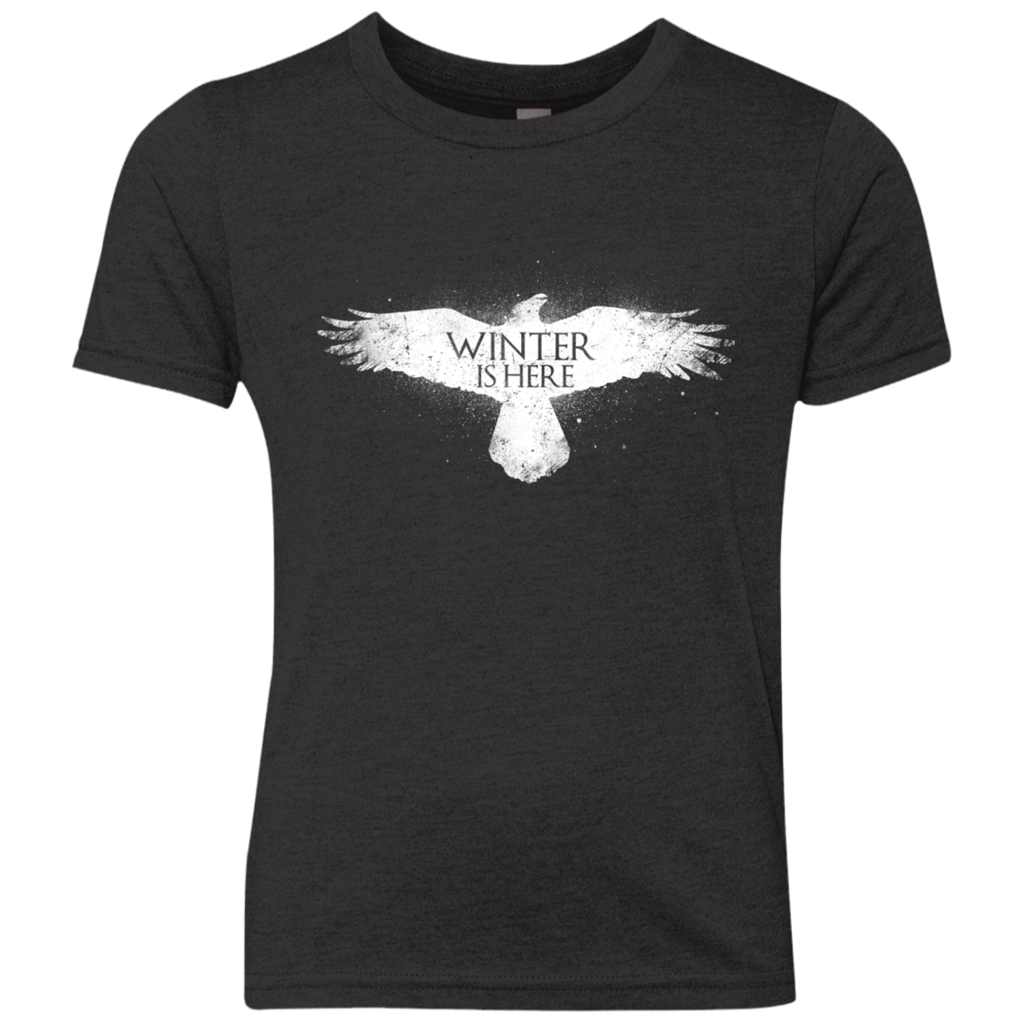Winter is here Youth Triblend T-Shirt