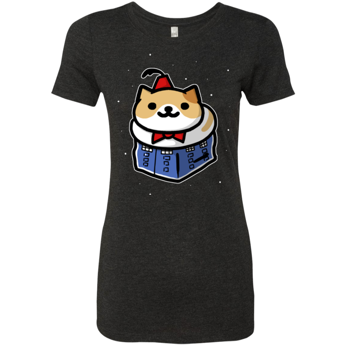 Bigger On The Inside Women's Triblend T-Shirt
