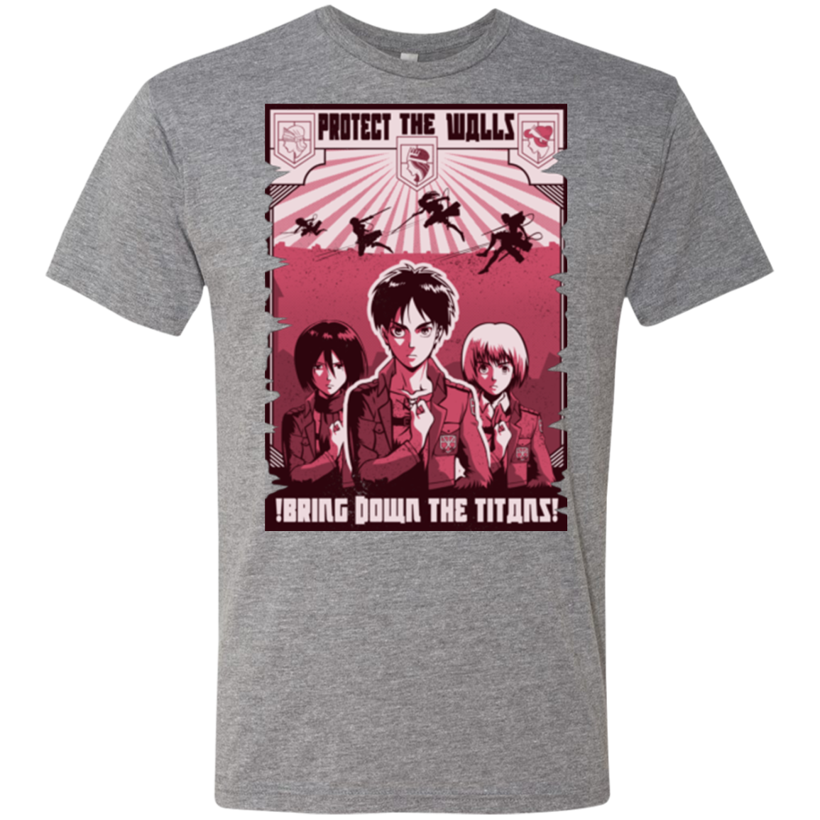 Protect the Walls Men's Triblend T-Shirt