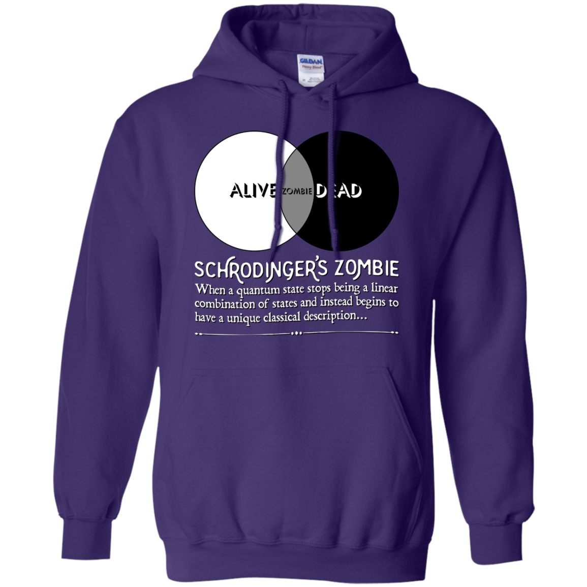 Schrödinger's Zombie Pullover Hoodie