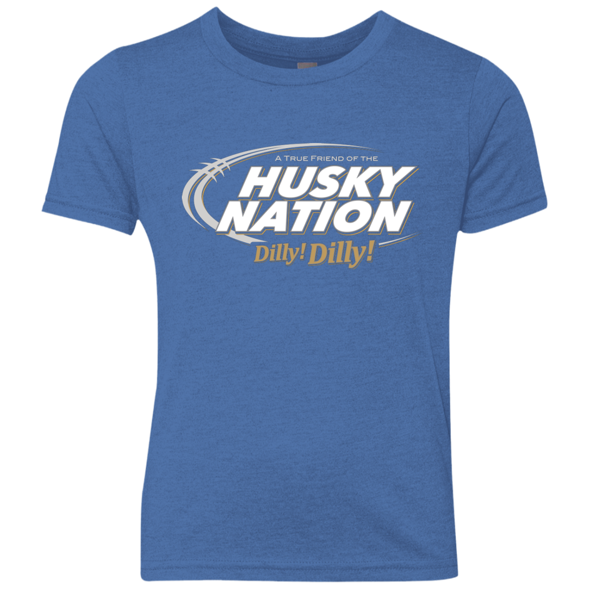 Washington Dilly Dilly Youth Triblend T-Shirt