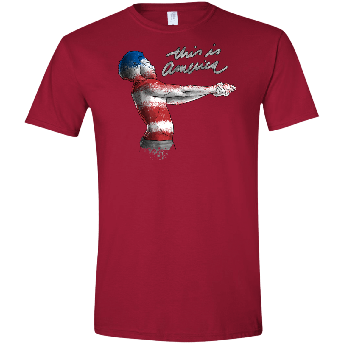 America Men's Semi-Fitted Softstyle