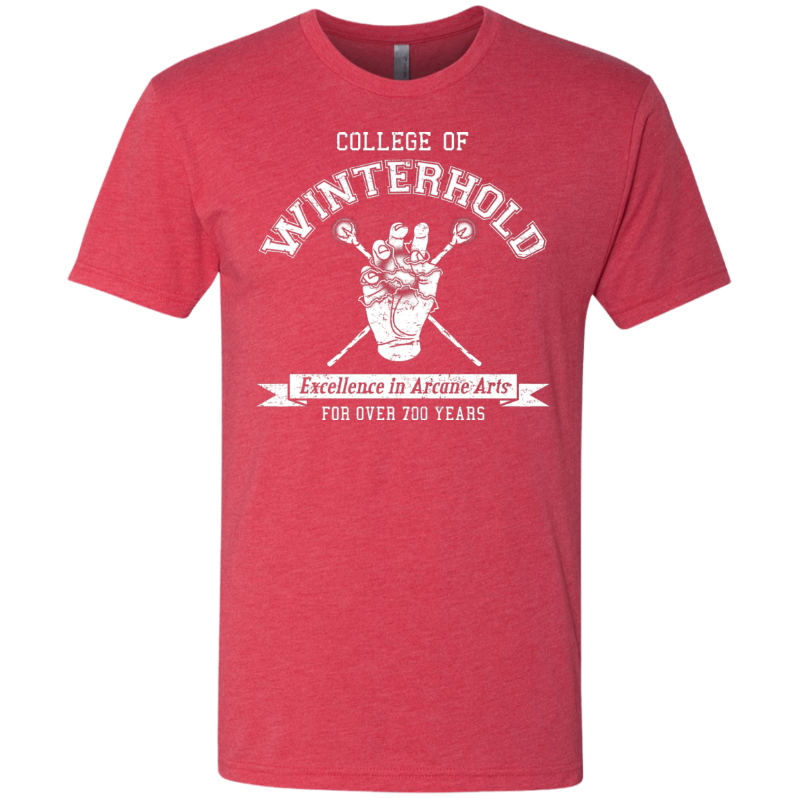 College of Winterhold Men's Triblend T-Shirt