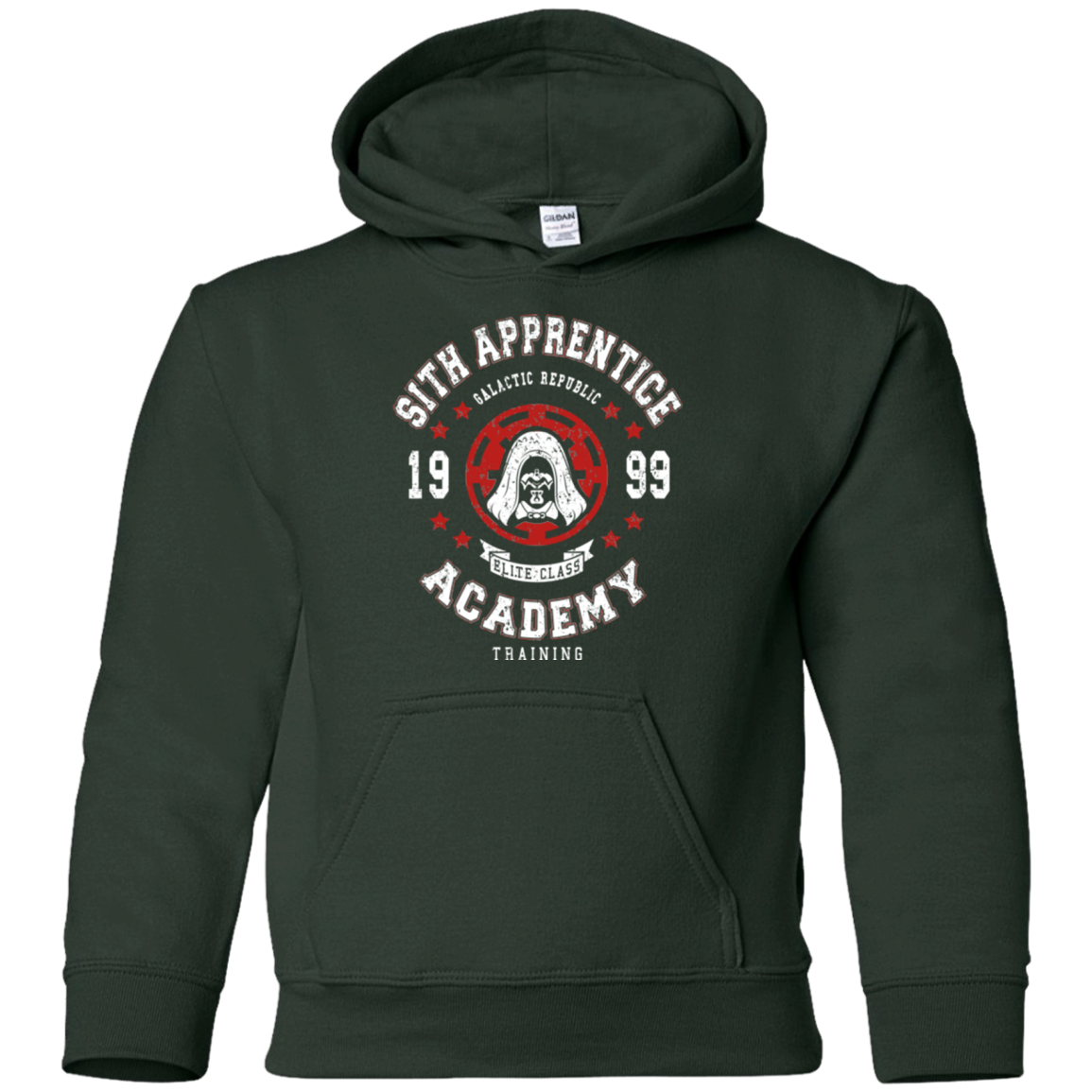 Sith Appretince Academy 99 Youth Hoodie