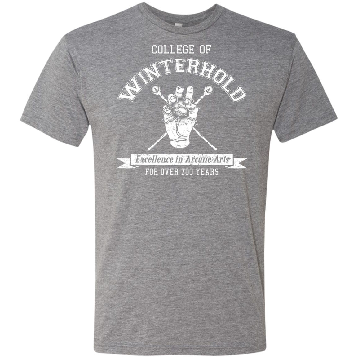 College of Winterhold Men's Triblend T-Shirt