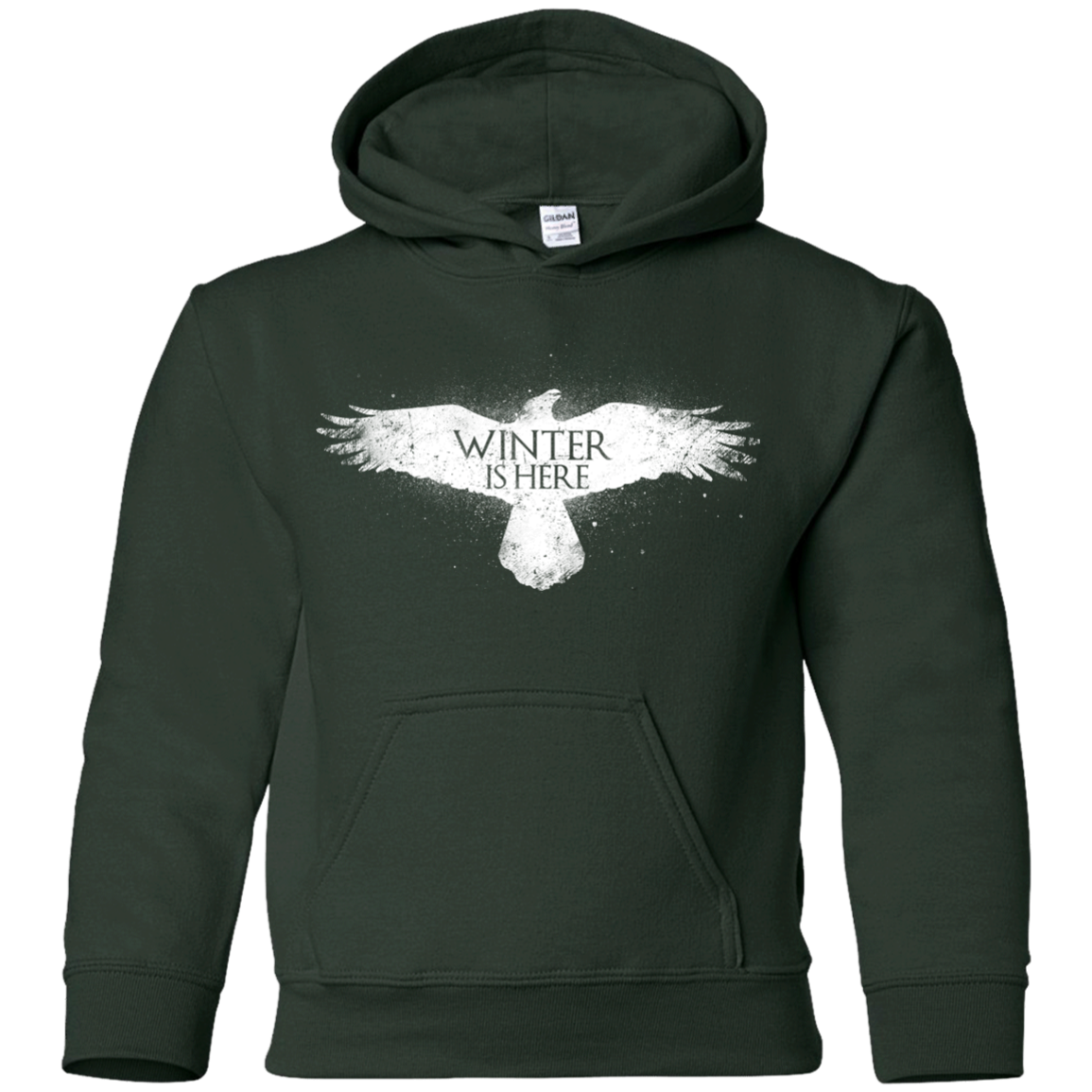 Winter is here Youth Hoodie