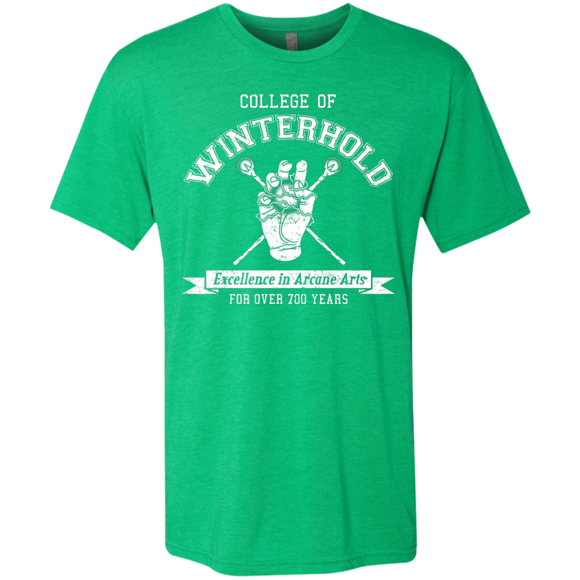 College of Winterhold Men's Triblend T-Shirt