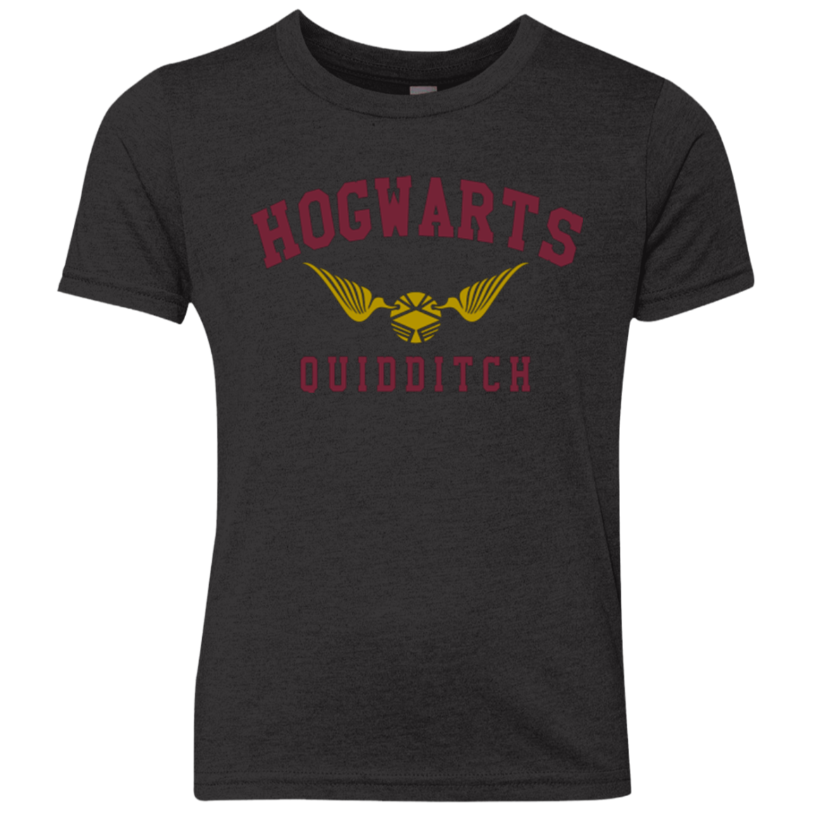 Hogwarts Quidditch Youth Triblend T-Shirt