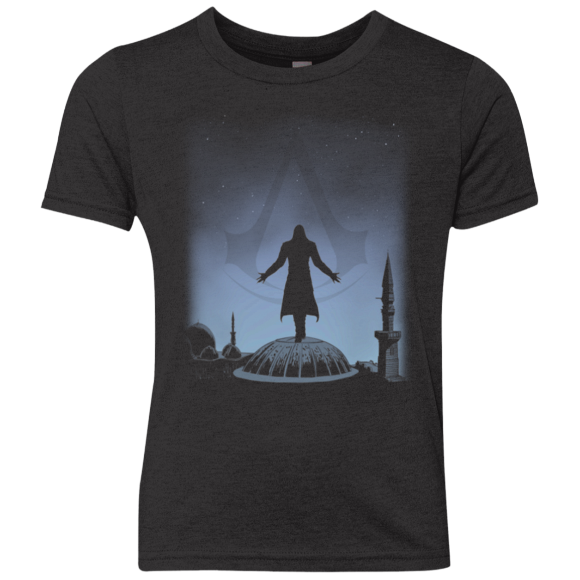 Assassin Youth Triblend T-Shirt