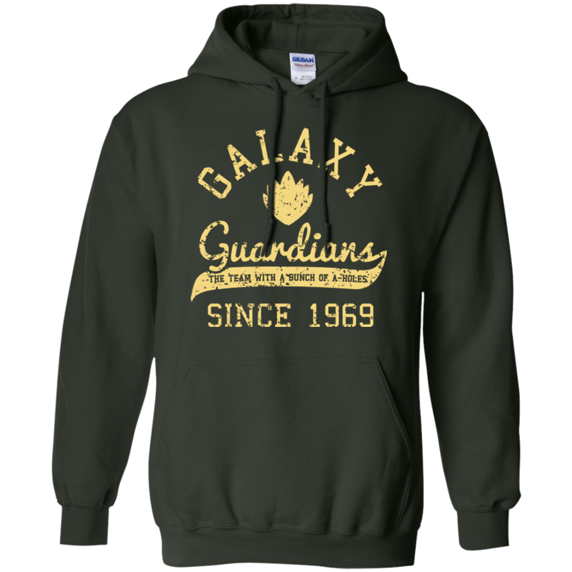 Guardians Since 1969 Pullover Hoodie