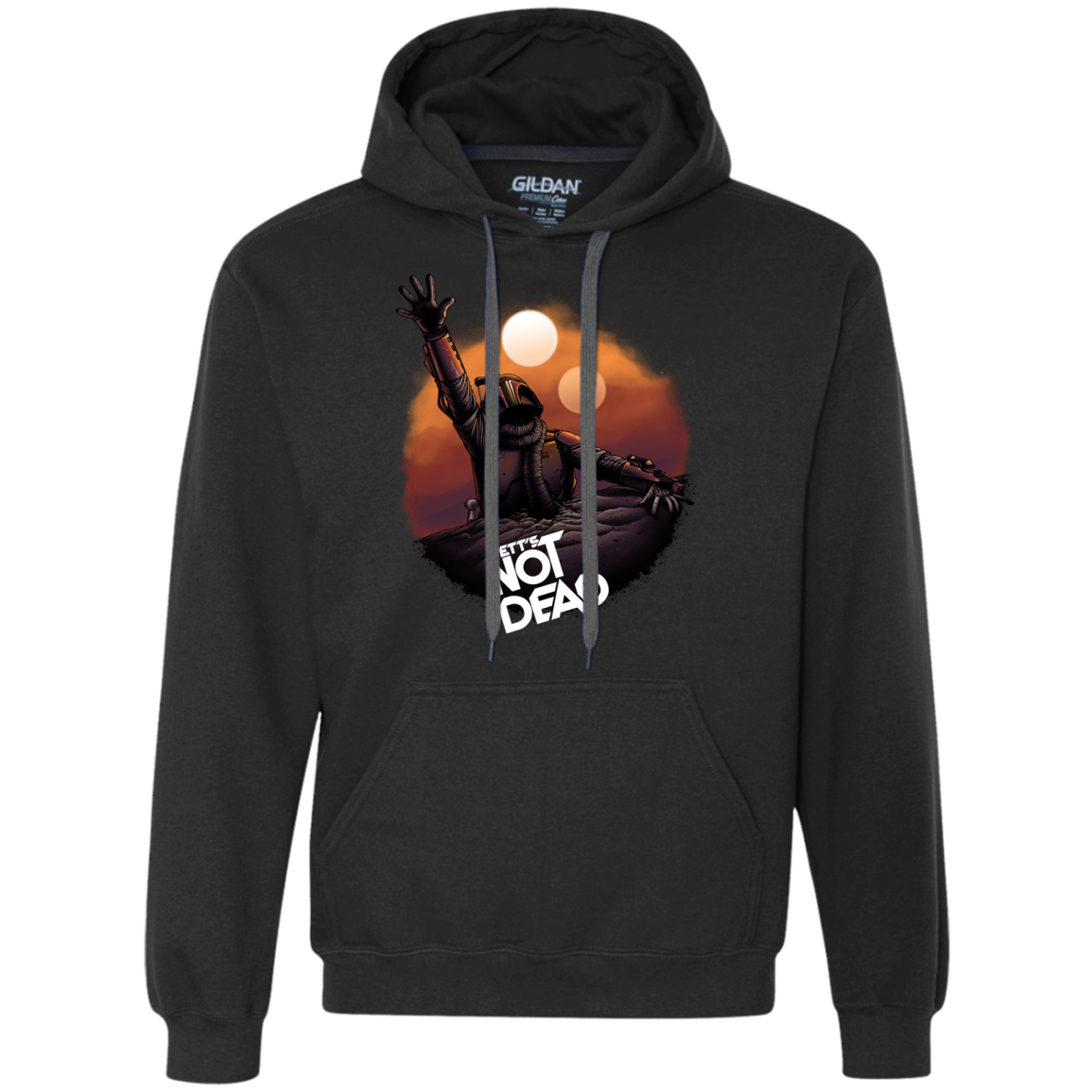 Back From The Pit Premium Fleece Hoodie