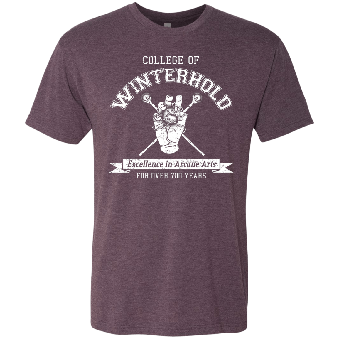 College of Winterhold Men's Triblend T-Shirt