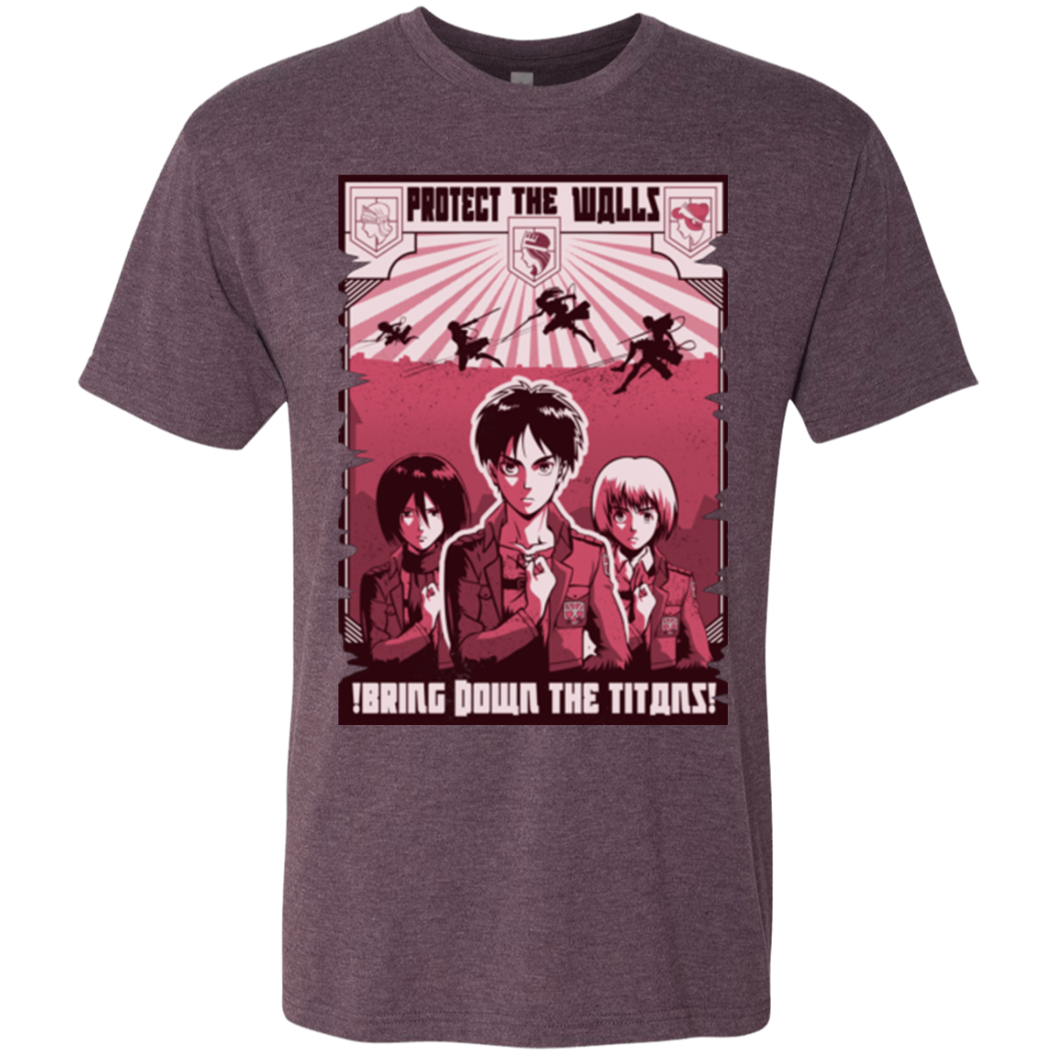 Protect the Walls Men's Triblend T-Shirt