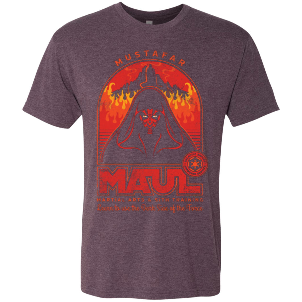 Maul Martial Arts Men's Triblend T-Shirt