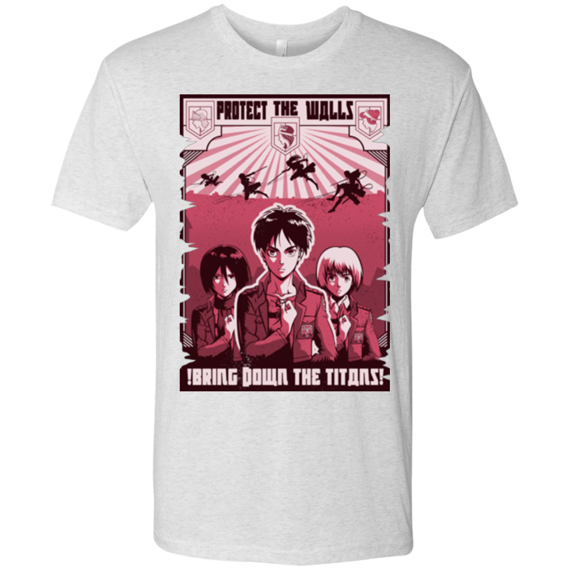 Protect the Walls Men's Triblend T-Shirt