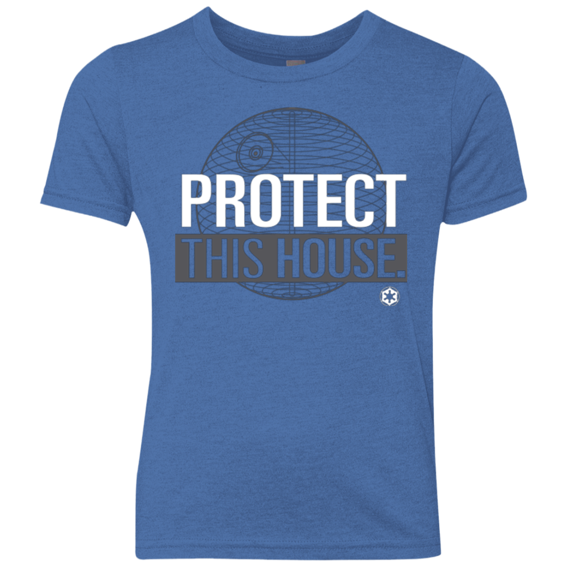 Protect This House Youth Triblend T-Shirt