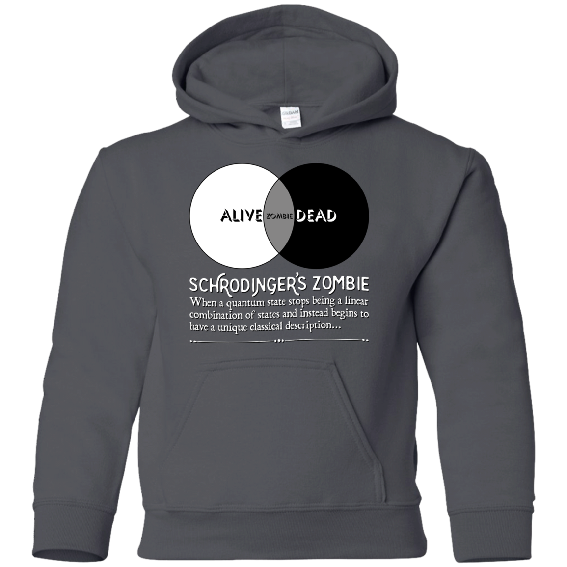 Schrödinger's Zombie Youth Hoodie