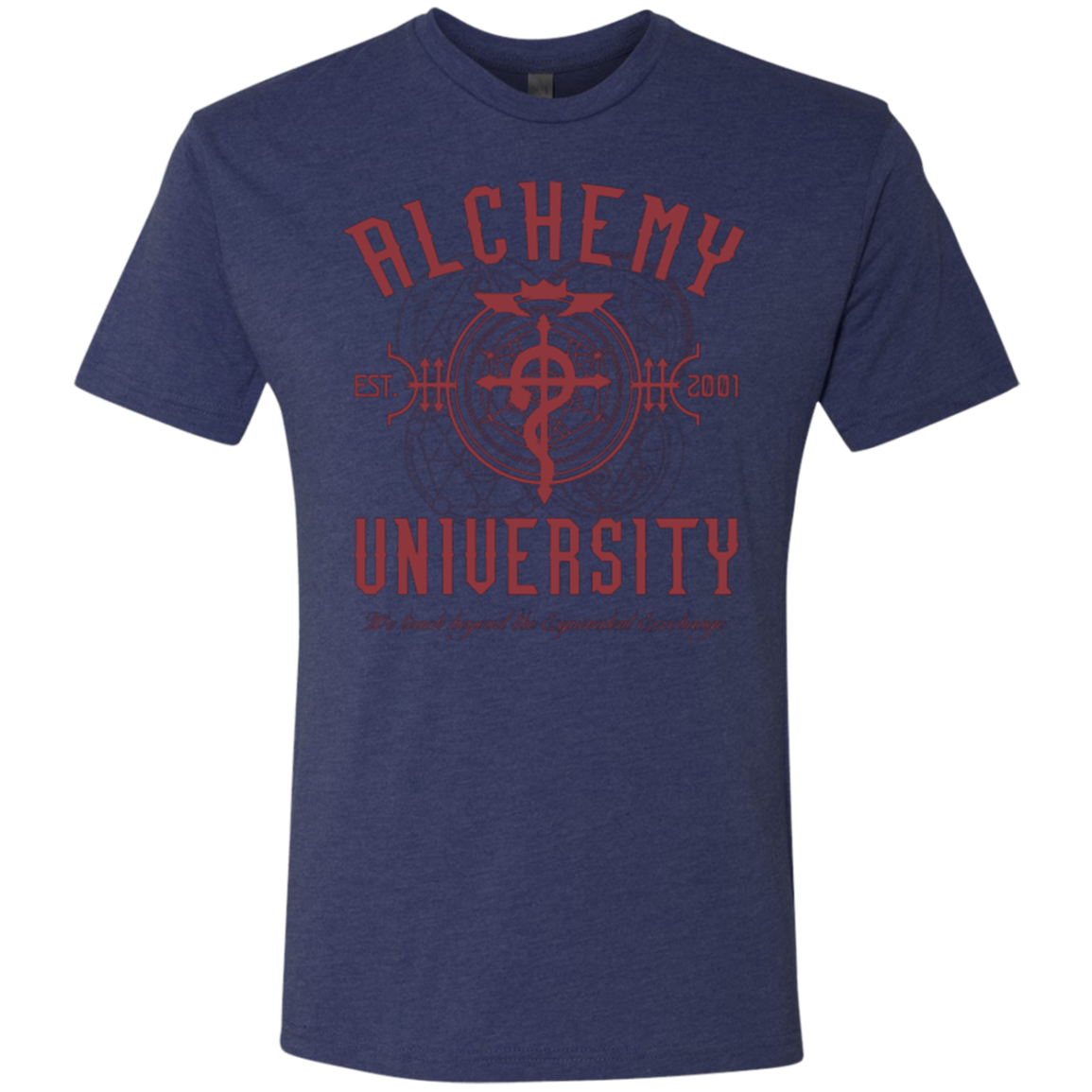 Alchemy University Men's Triblend T-Shirt