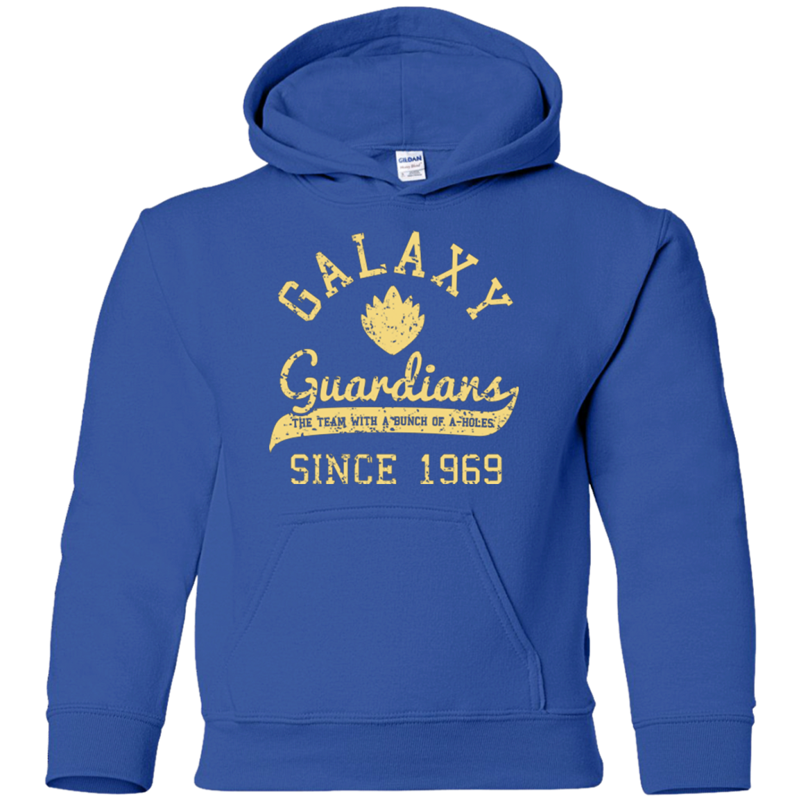 Guardians Since 1969 Youth Hoodie
