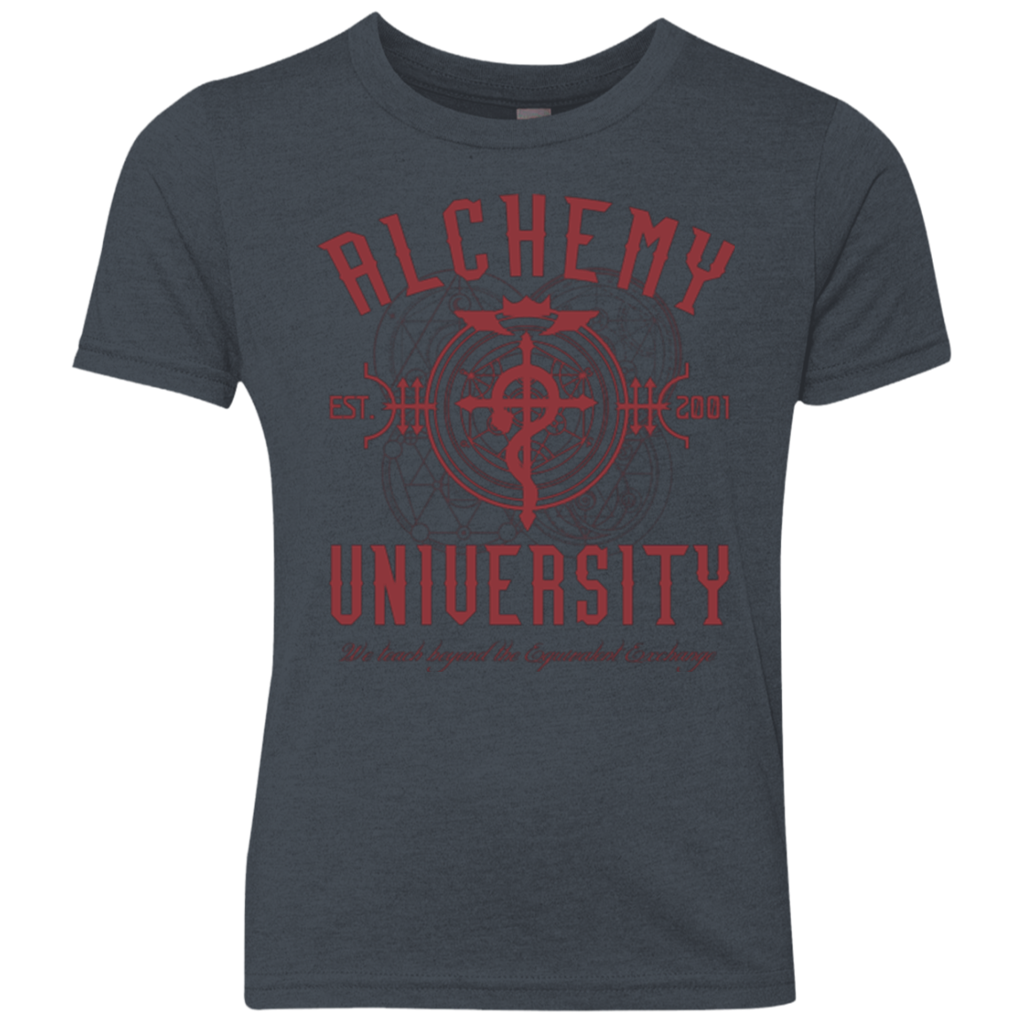 Alchemy University Youth Triblend T-Shirt
