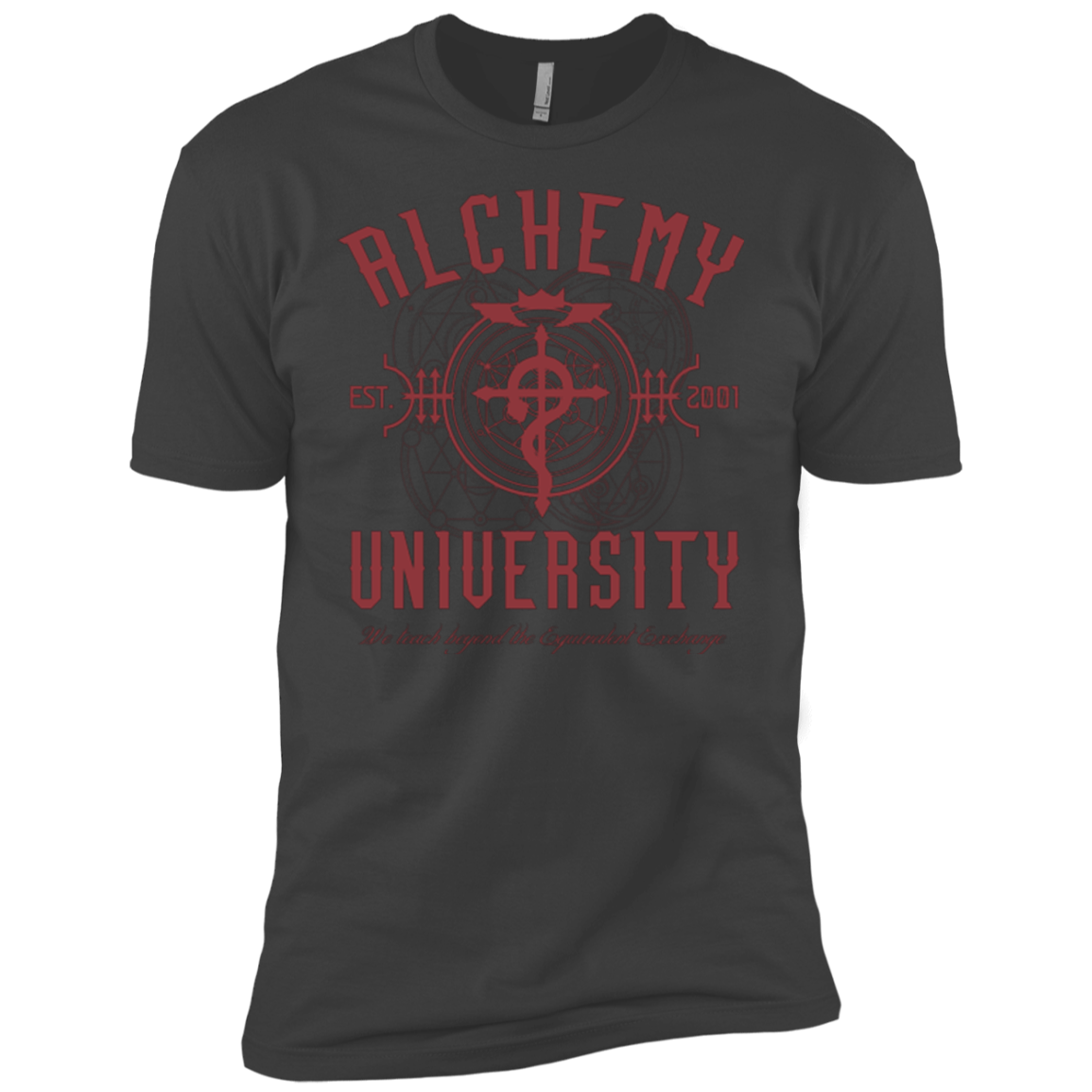 Alchemy University Boys Premium T-Shirt
