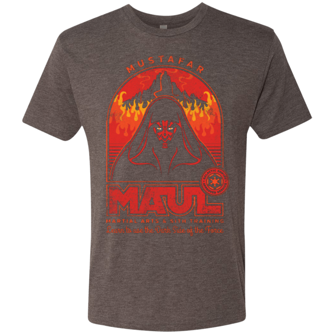 Maul Martial Arts Men's Triblend T-Shirt