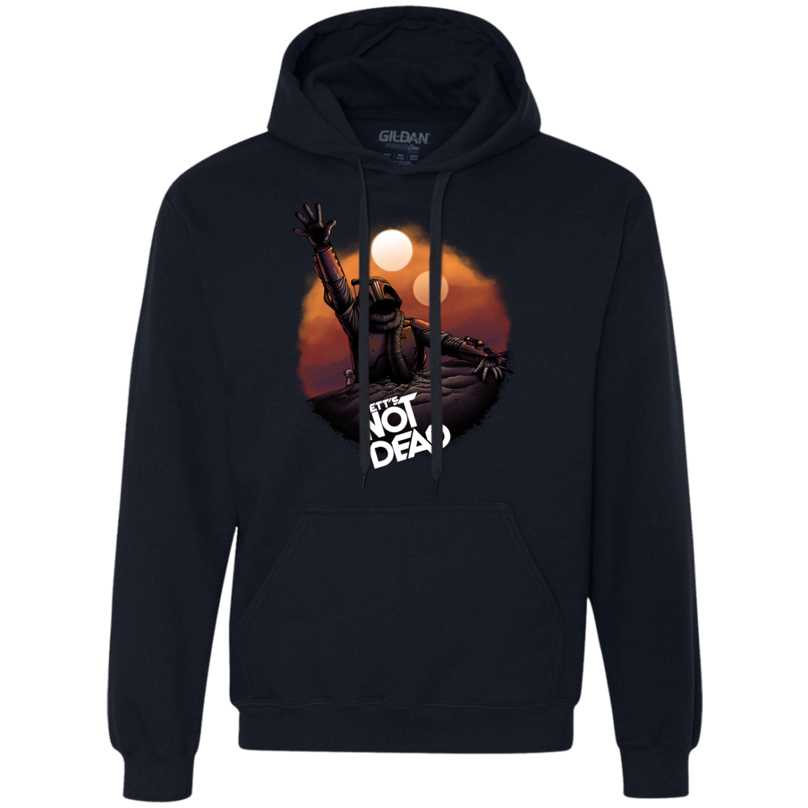 Back From The Pit Premium Fleece Hoodie