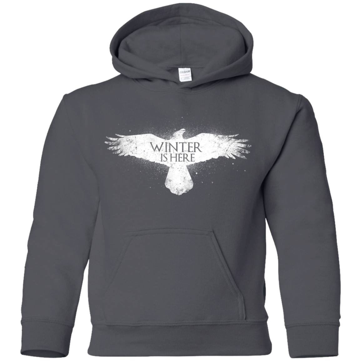 Winter is here Youth Hoodie