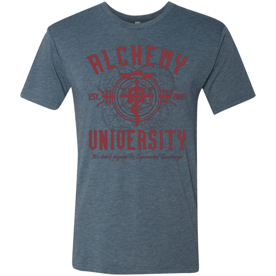 Alchemy University Men's Triblend T-Shirt