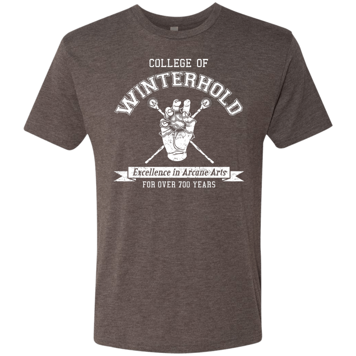 College of Winterhold Men's Triblend T-Shirt