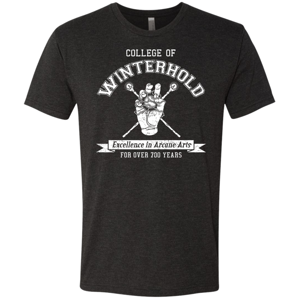 College of Winterhold Men's Triblend T-Shirt