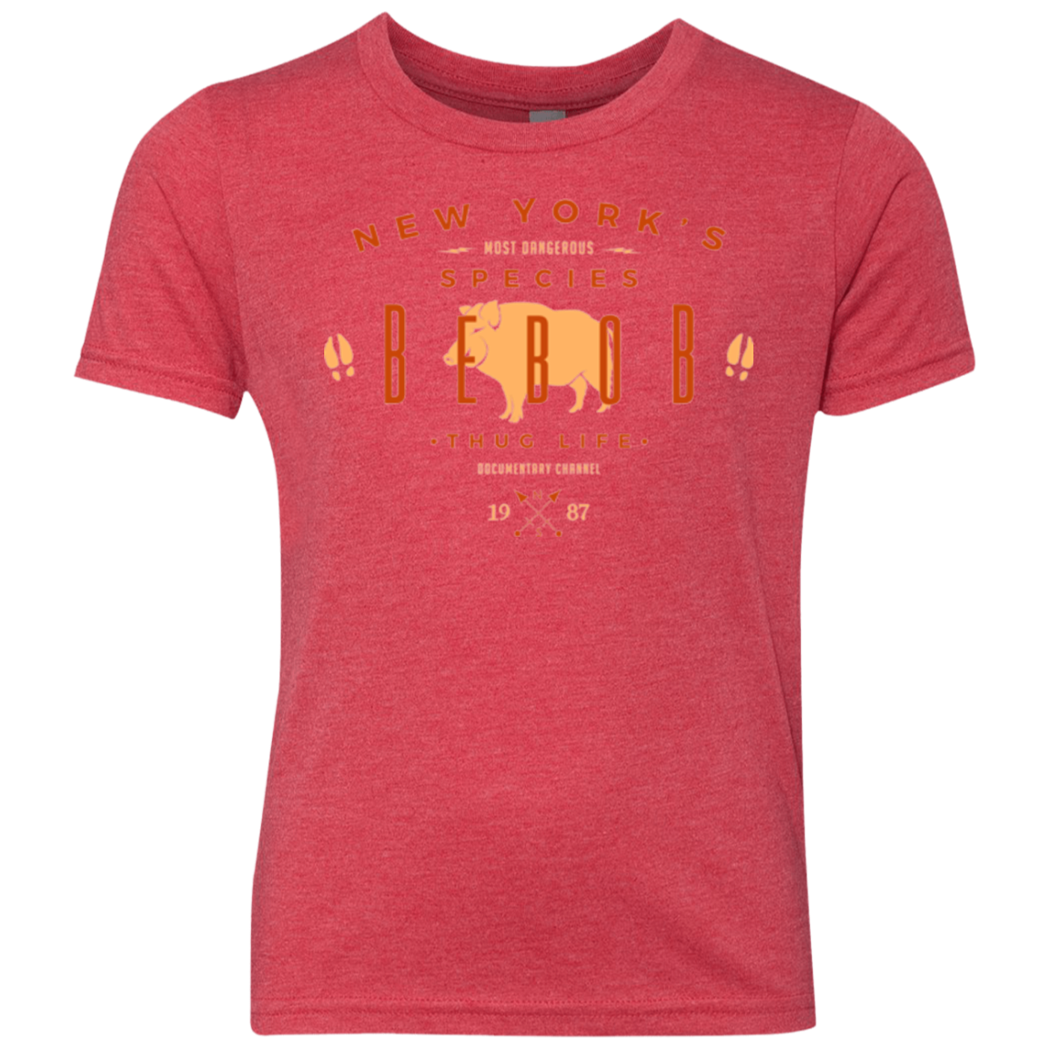 NY SPECIES - BEBOB Youth Triblend T-Shirt