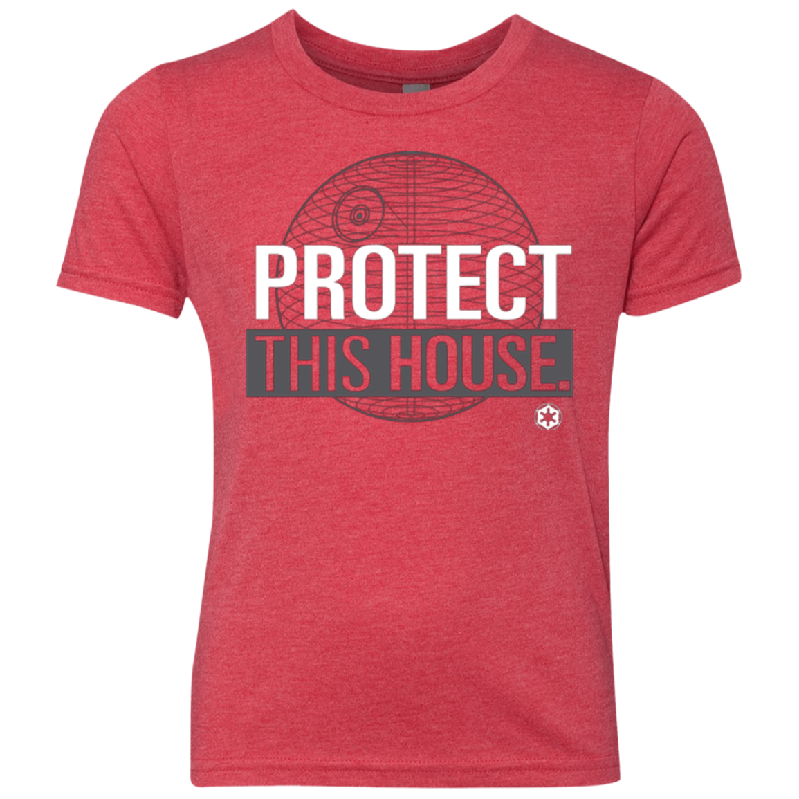 Protect This House Youth Triblend T-Shirt