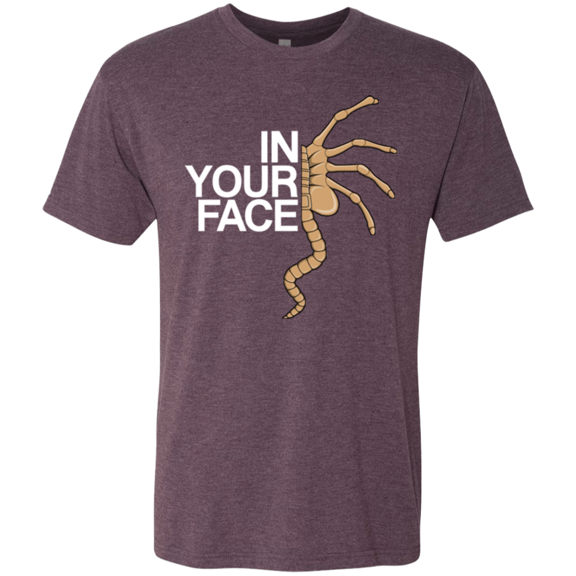 IN YOUR FACE Men's Triblend T-Shirt