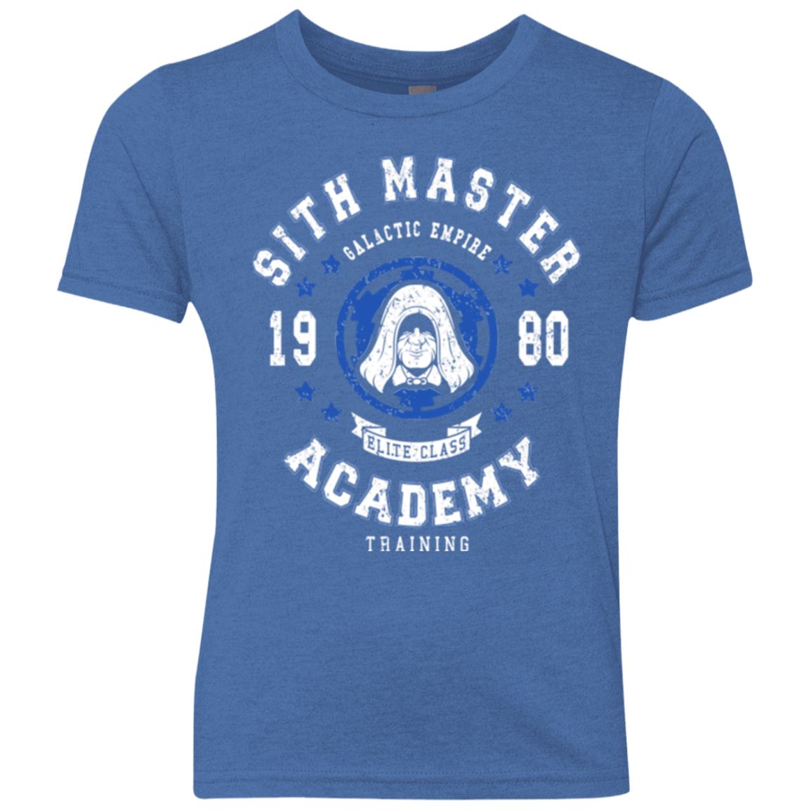 Sith Master Academy 80 Youth Triblend T-Shirt