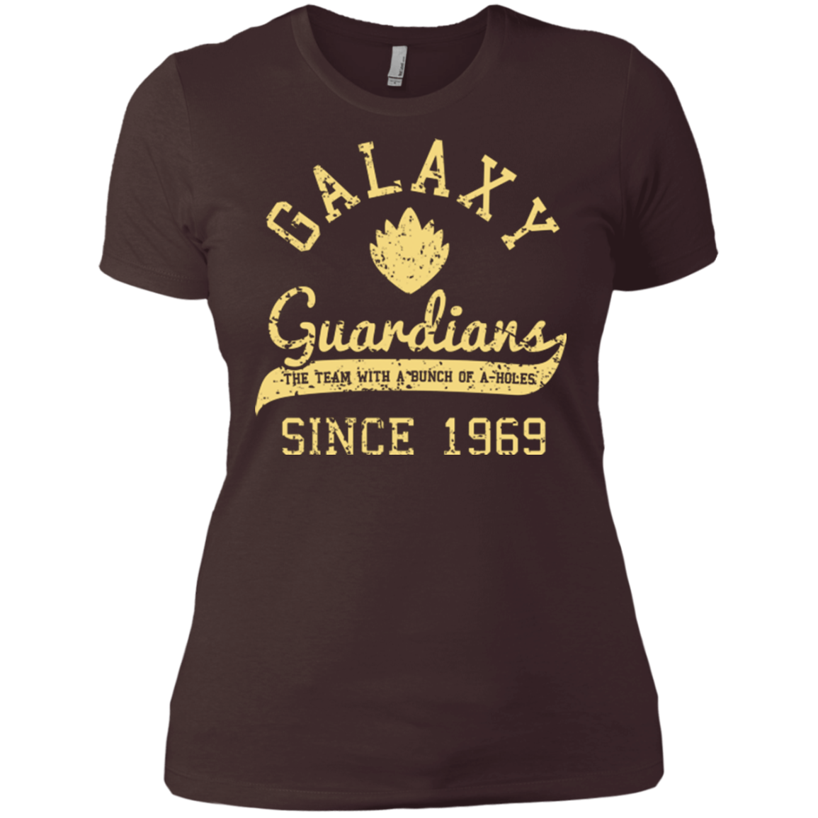Guardians Since 1969 Women's Premium T-Shirt