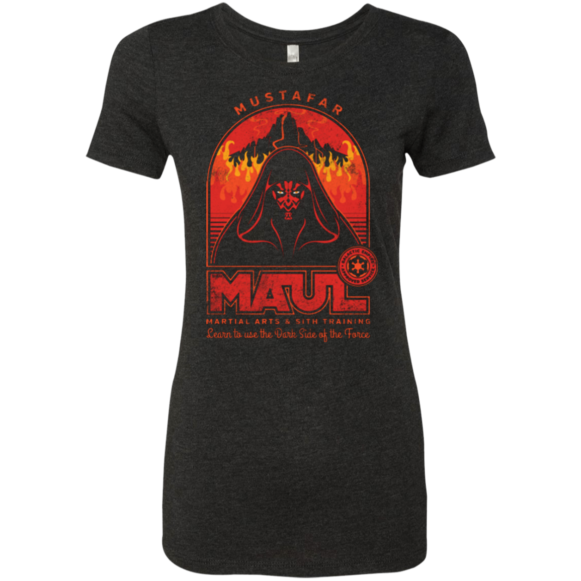 Maul Martial Arts Women's Triblend T-Shirt